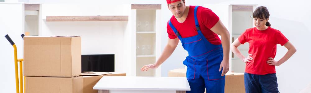 Zügelunternehmen Schaffhausen ab 100€ Zügelunternehmen Schaffhausen ab 100€